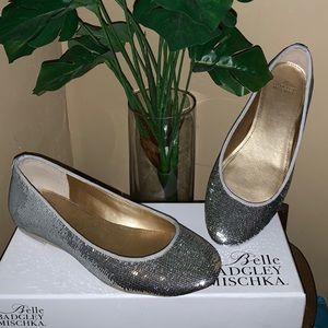 Silver Sequin Ballet Flat - Like New in Box!
